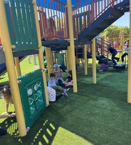 playground equipment with kids climbing on and under